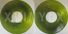 Aside/Bside Transparent Yellow No. 10 / Swamp Green